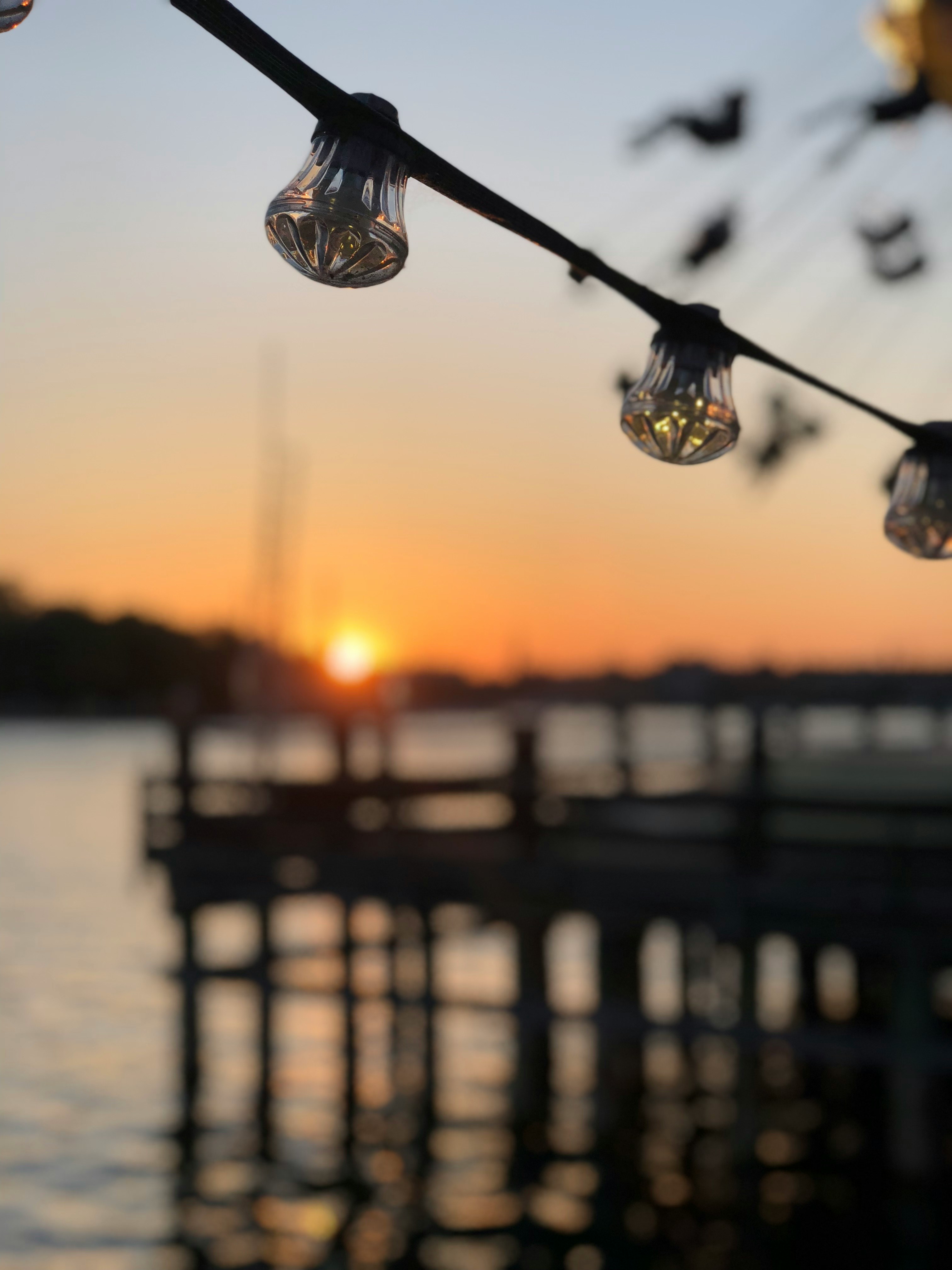 String lights glowing over a waterfront pier at sunset